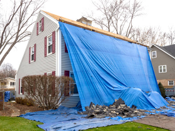 Best Historical Building Siding Restoration  in Fairview, GA